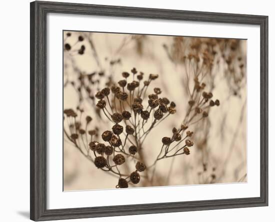 Secret 3-Design Fabrikken-Framed Photographic Print