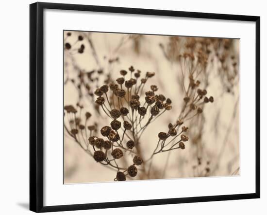 Secret 3-Design Fabrikken-Framed Photographic Print