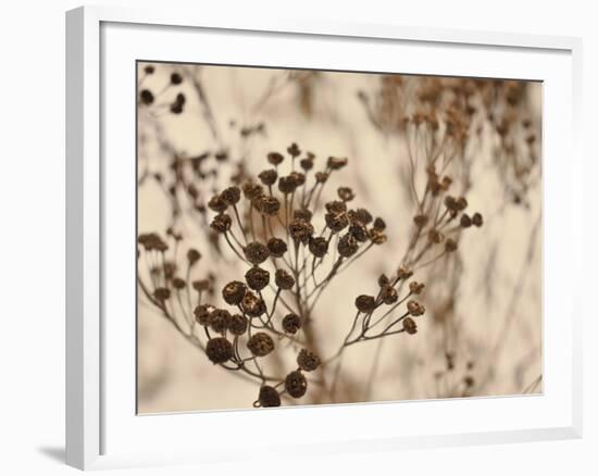 Secret 3-Design Fabrikken-Framed Photographic Print