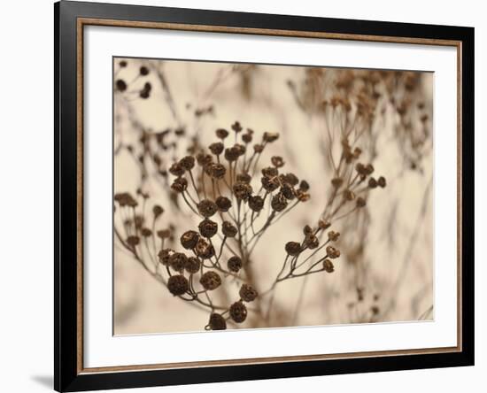 Secret 3-Design Fabrikken-Framed Photographic Print