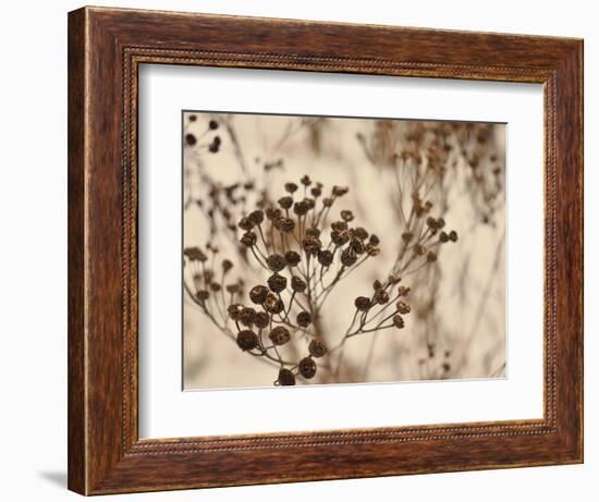 Secret 3-Design Fabrikken-Framed Photographic Print