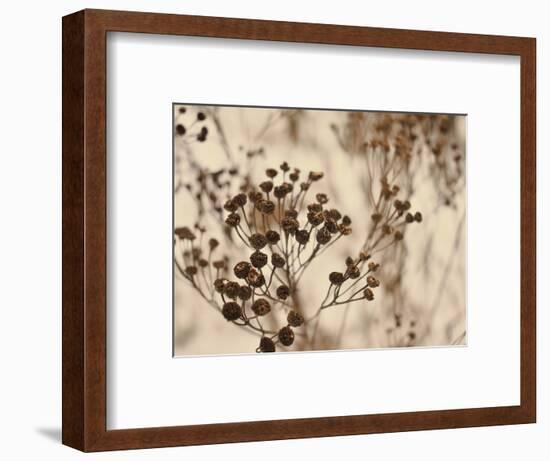 Secret 3-Design Fabrikken-Framed Photographic Print