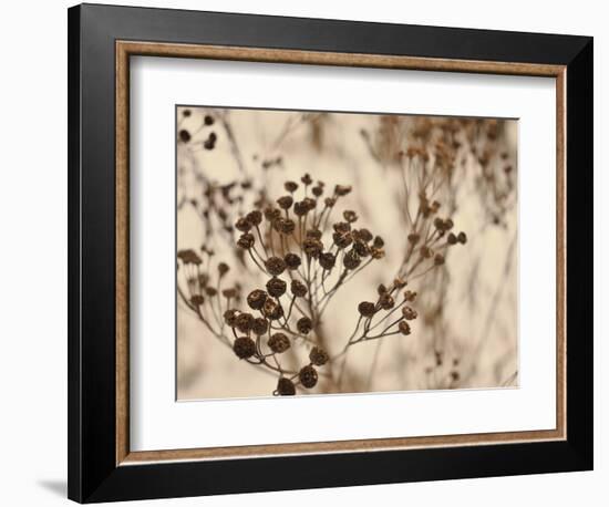 Secret 3-Design Fabrikken-Framed Photographic Print