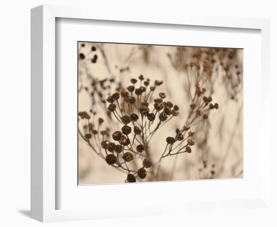 Secret 3-Design Fabrikken-Framed Photographic Print