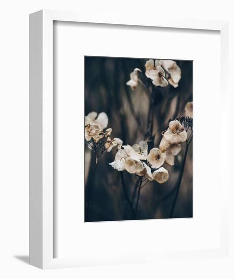 Secret 4-Design Fabrikken-Framed Photographic Print