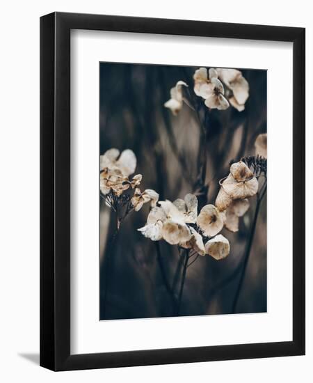 Secret 4-Design Fabrikken-Framed Photographic Print