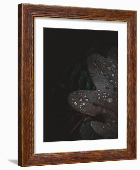 Secret 5-Design Fabrikken-Framed Photographic Print