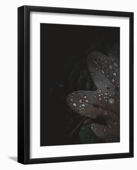 Secret 5-Design Fabrikken-Framed Photographic Print