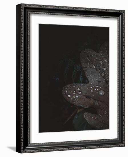 Secret 5-Design Fabrikken-Framed Photographic Print