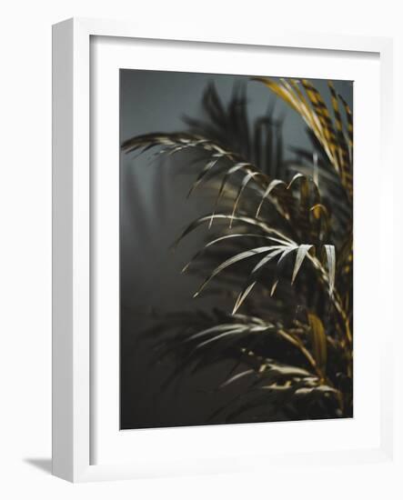 Secret 8-Design Fabrikken-Framed Photographic Print