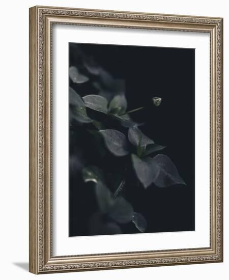 Secret 9-Design Fabrikken-Framed Photographic Print