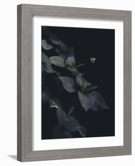 Secret 9-Design Fabrikken-Framed Photographic Print