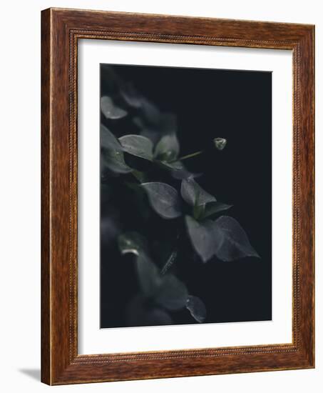 Secret 9-Design Fabrikken-Framed Photographic Print