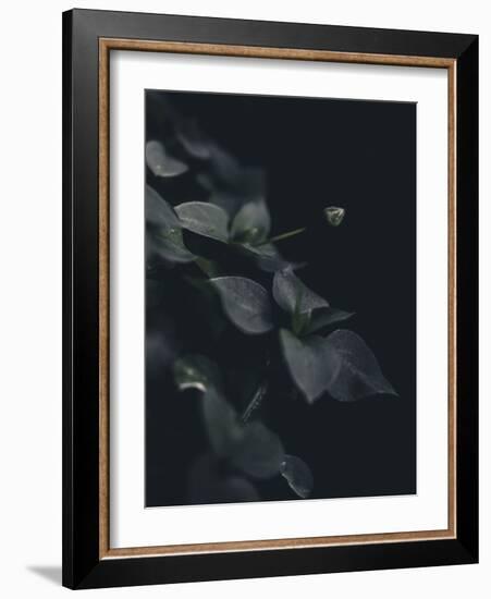 Secret 9-Design Fabrikken-Framed Photographic Print