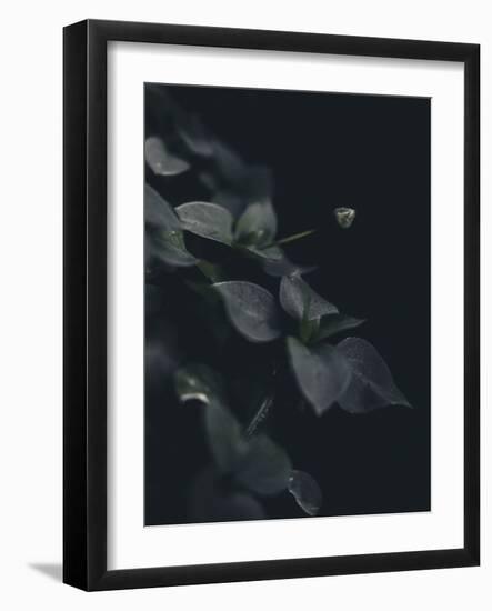 Secret 9-Design Fabrikken-Framed Photographic Print