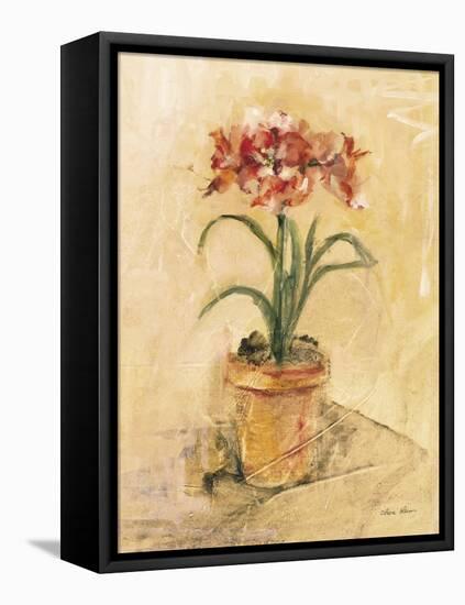 Secret Amaryllis I-Cheri Blum-Framed Stretched Canvas