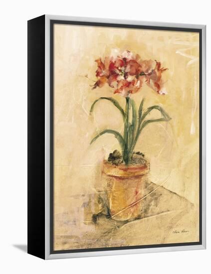 Secret Amaryllis I-Cheri Blum-Framed Stretched Canvas