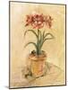 Secret Amaryllis I-Cheri Blum-Mounted Art Print