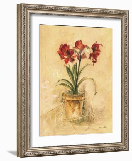 Secret Amaryllis II-Cheri Blum-Framed Art Print