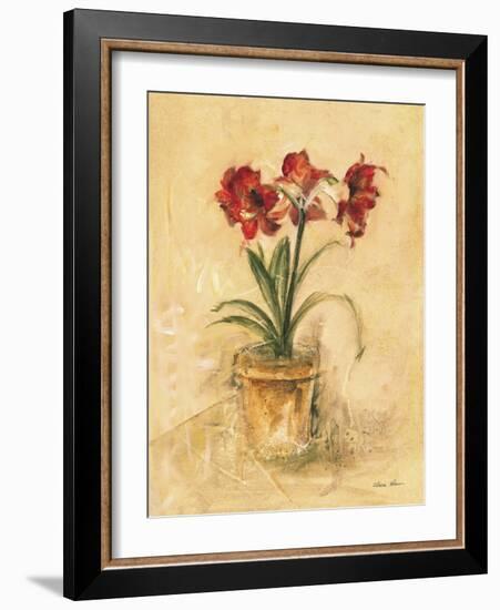 Secret Amaryllis II-Cheri Blum-Framed Art Print