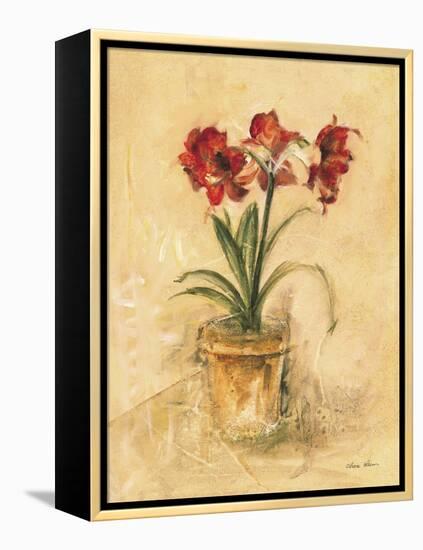 Secret Amaryllis II-Cheri Blum-Framed Stretched Canvas