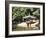 Secret Garden, Changdeokgung Palace (Palace of Illustrious Virtue), Seoul, South Korea-Wendy Connett-Framed Photographic Print