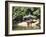 Secret Garden, Changdeokgung Palace (Palace of Illustrious Virtue), Seoul, South Korea-Wendy Connett-Framed Photographic Print