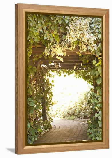 Secret Garden II-Karyn Millet-Framed Premier Image Canvas