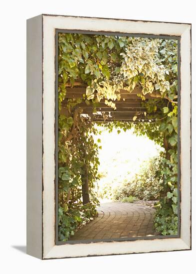 Secret Garden II-Karyn Millet-Framed Premier Image Canvas