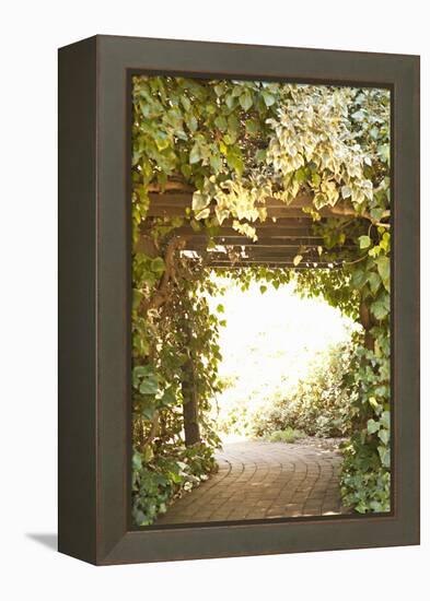 Secret Garden II-Karyn Millet-Framed Premier Image Canvas