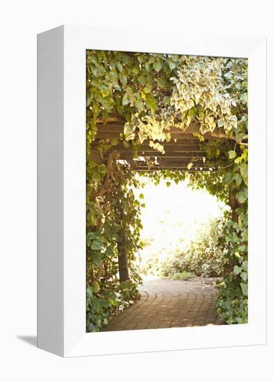 Secret Garden II-Karyn Millet-Framed Premier Image Canvas