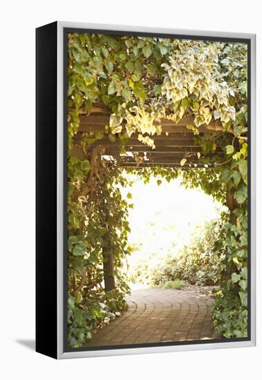 Secret Garden II-Karyn Millet-Framed Premier Image Canvas