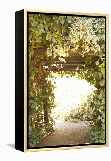Secret Garden II-Karyn Millet-Framed Premier Image Canvas