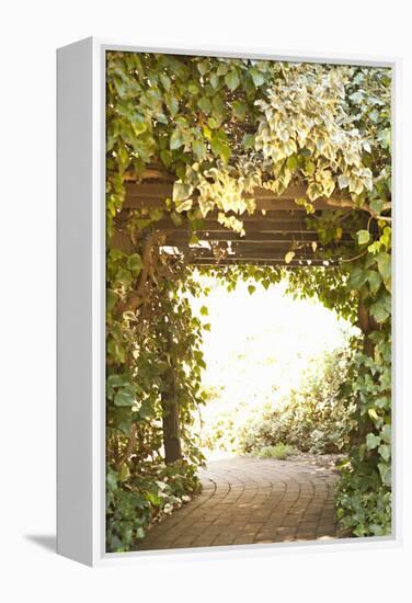 Secret Garden II-Karyn Millet-Framed Premier Image Canvas