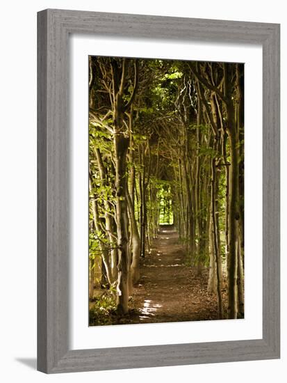 Secret Garden III-Karyn Millet-Framed Photographic Print