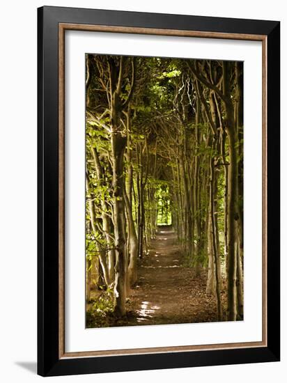 Secret Garden III-Karyn Millet-Framed Photographic Print