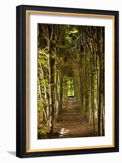 Secret Garden III-Karyn Millet-Framed Photographic Print