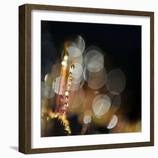 Secret Garden-Ursula Abresch-Framed Photographic Print