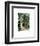 Secret Garden-Maureen Love-Framed Photo