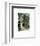 Secret Garden-Maureen Love-Framed Photo