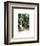 Secret Garden-Maureen Love-Framed Photo