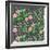 Secret Garden-Heather Rosas-Framed Art Print