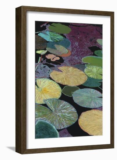 Secret Hideaway-Allan Friedlander-Framed Art Print