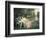 Secret Liaison-Joseph Frederic Soulacroix-Framed Giclee Print