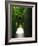 Secret Place-Helen White-Framed Photographic Print