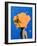 Secret woman _ Orange-Anne Storno-Framed Giclee Print