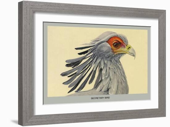 Secretary Bird-Louis Agassiz Fuertes-Framed Art Print