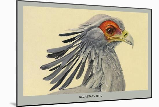 Secretary Bird-Louis Agassiz Fuertes-Mounted Art Print