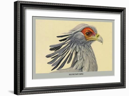 Secretary Bird-Louis Agassiz Fuertes-Framed Art Print