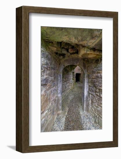 Secretive passageways, wind all through massive Moyne Abbey, County Mayo, Ireland.-Betty Sederquist-Framed Photographic Print